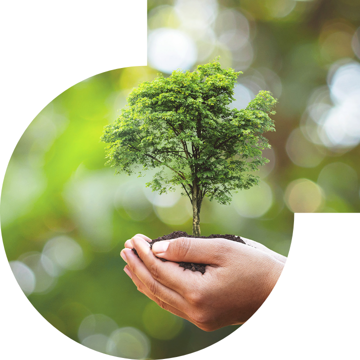 關懷人類、文化、環境與社會